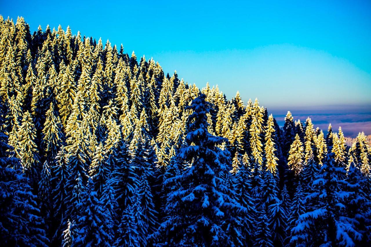 Sunny Hills Ski&Wellness Pamporovo Luaran gambar