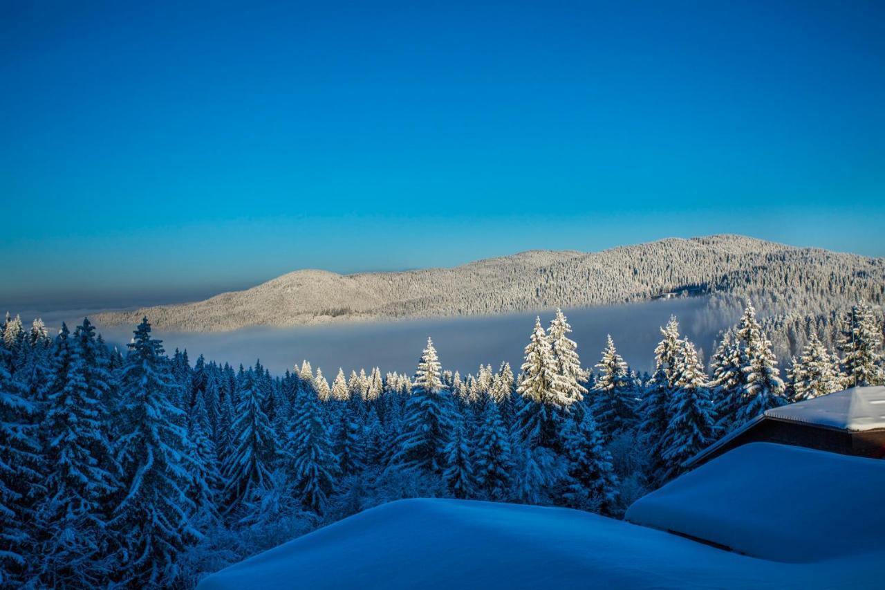 Sunny Hills Ski&Wellness Pamporovo Luaran gambar