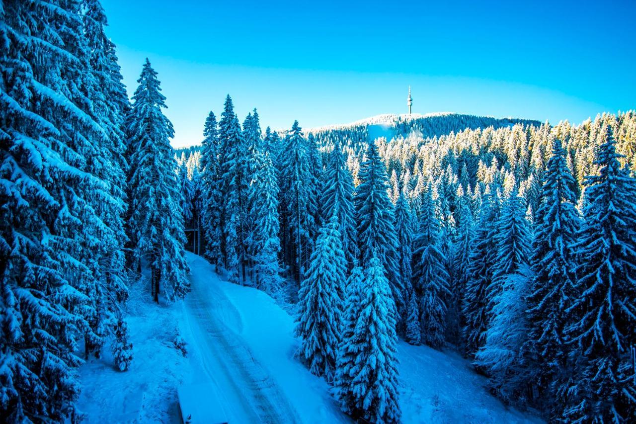 Sunny Hills Ski&Wellness Pamporovo Luaran gambar