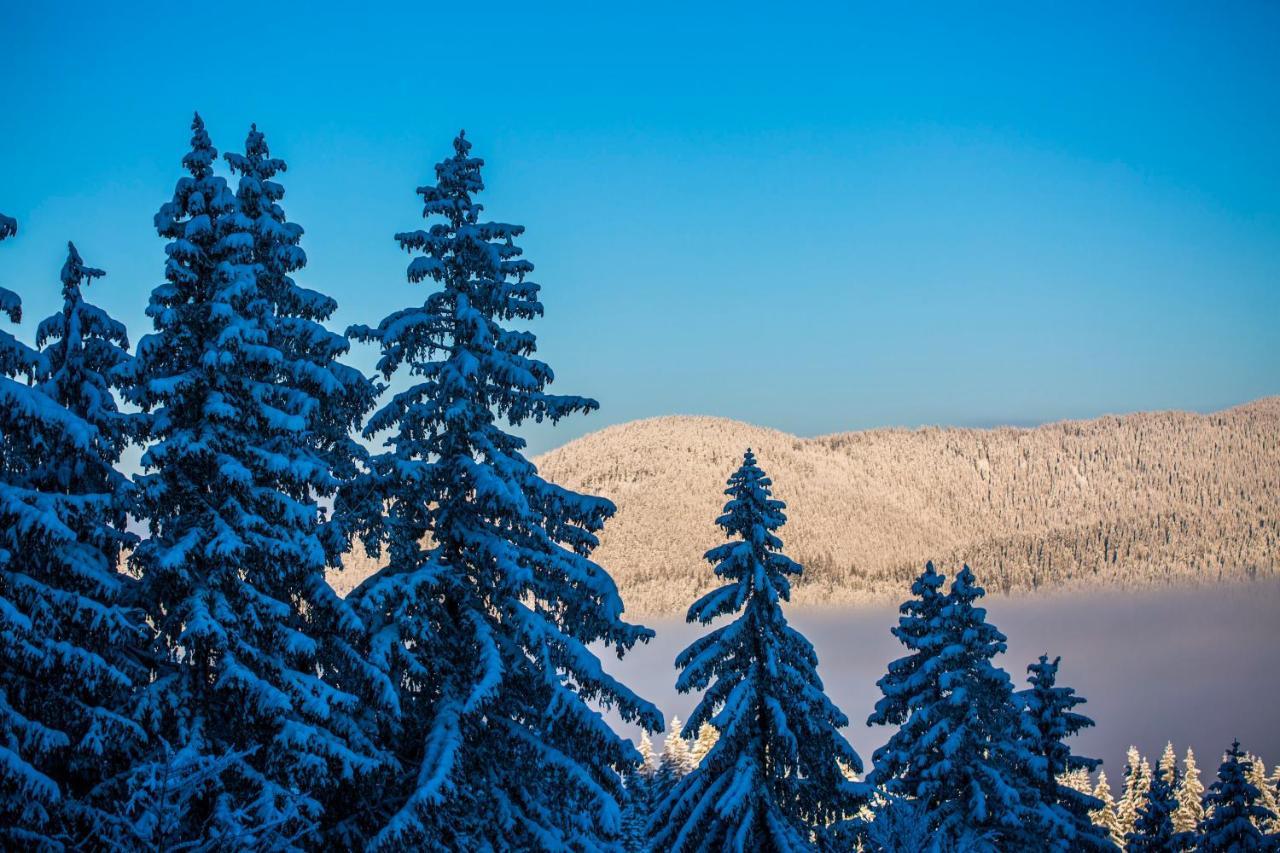 Sunny Hills Ski&Wellness Pamporovo Luaran gambar