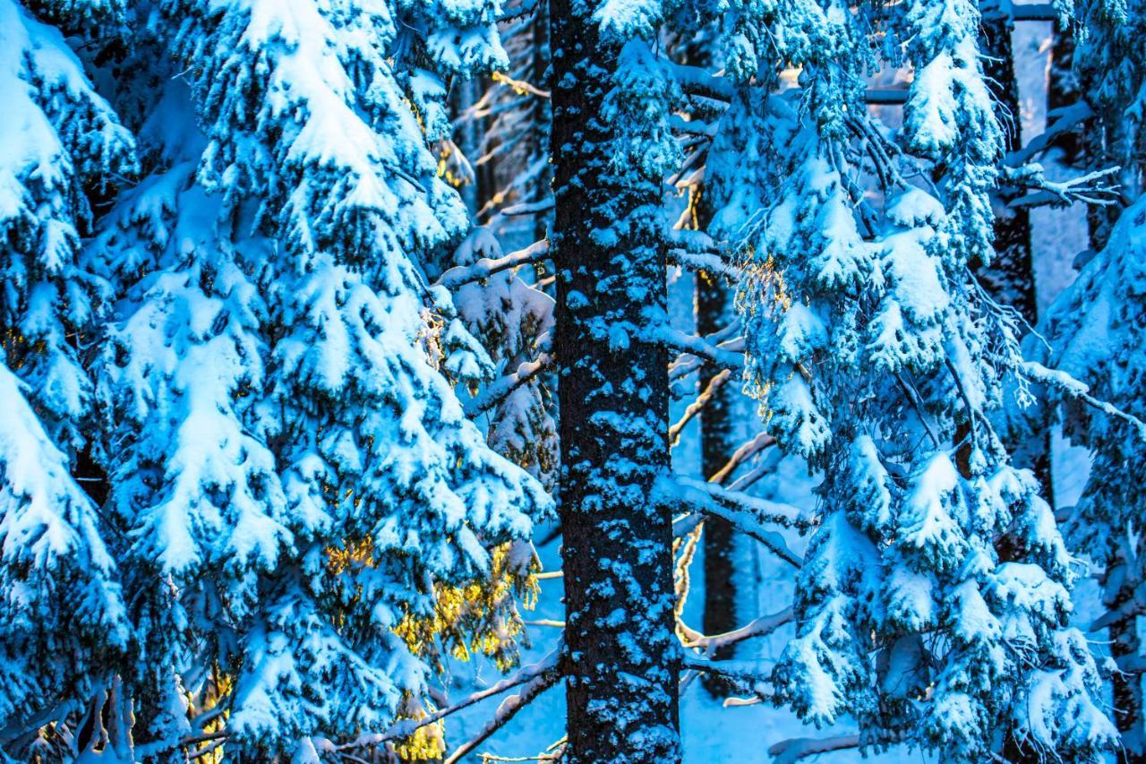 Sunny Hills Ski&Wellness Pamporovo Luaran gambar