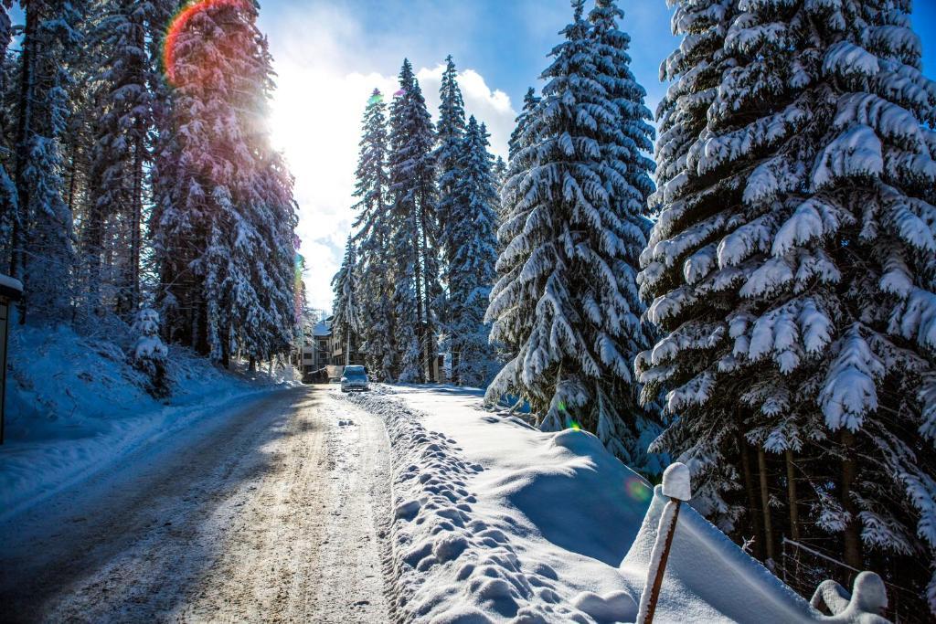 Sunny Hills Ski&Wellness Pamporovo Luaran gambar