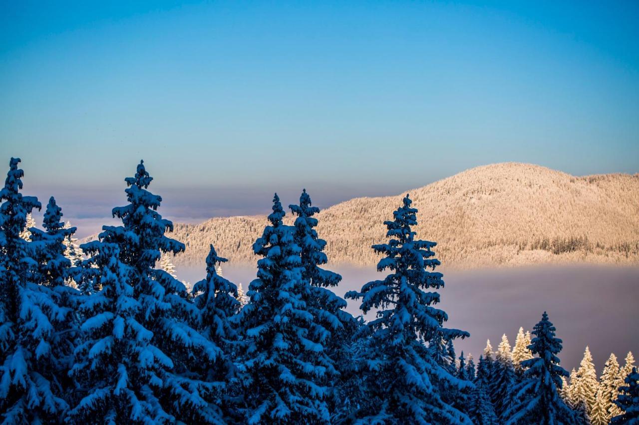 Sunny Hills Ski&Wellness Pamporovo Luaran gambar